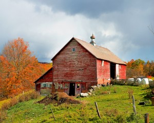 Barn Danby Mt Road Vermont 799